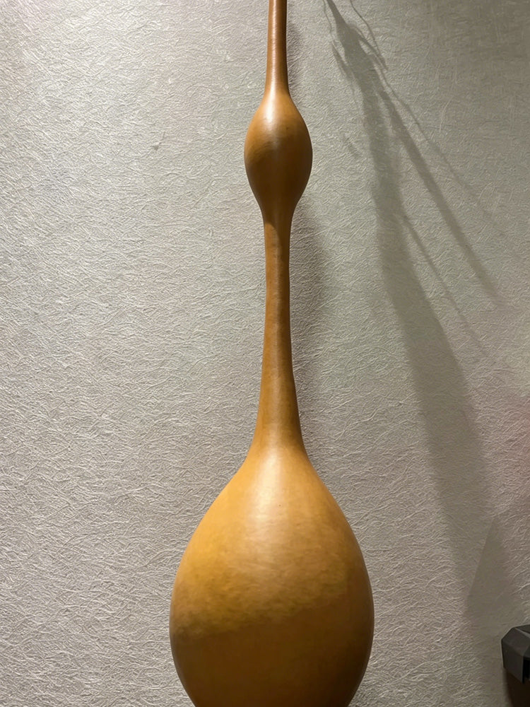 Wild Goose Neck Gourd