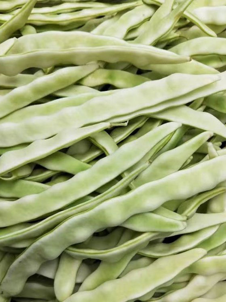 Bai Fumei Pole Bean