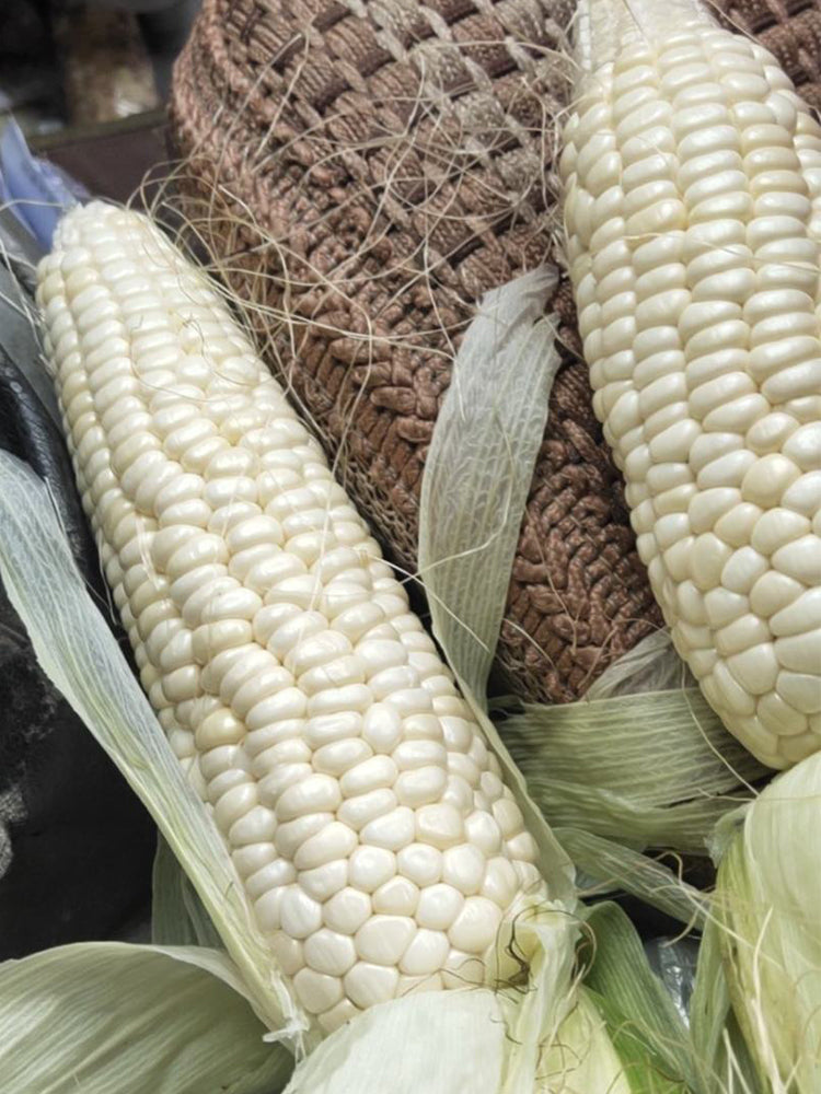 White Sweet Glutinous Corn