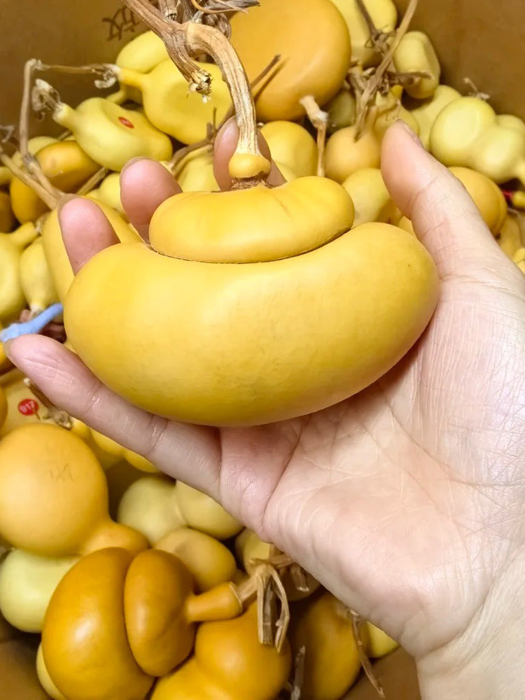 Money Bag Eight Treasures Gourd