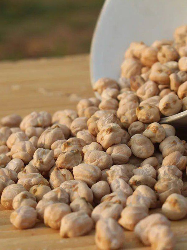 Kabuli Chickpea