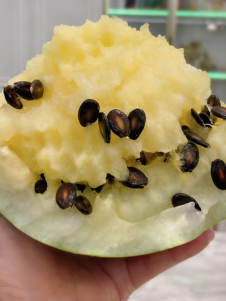 Large-seeded Watermelon