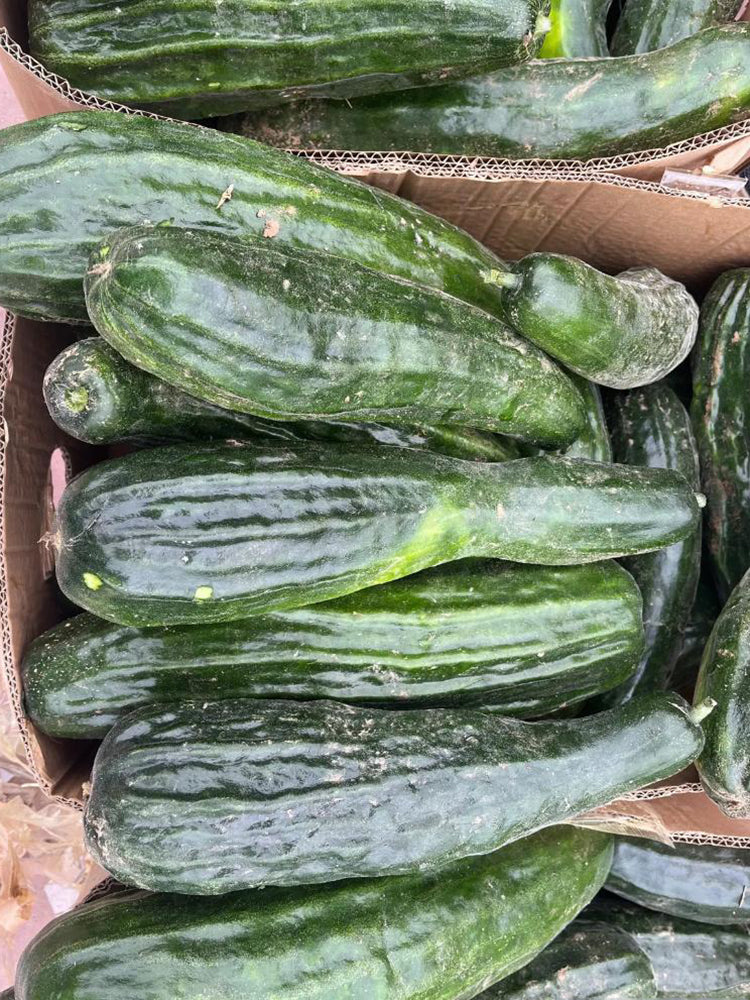 Black Ribbed Crisp Melon