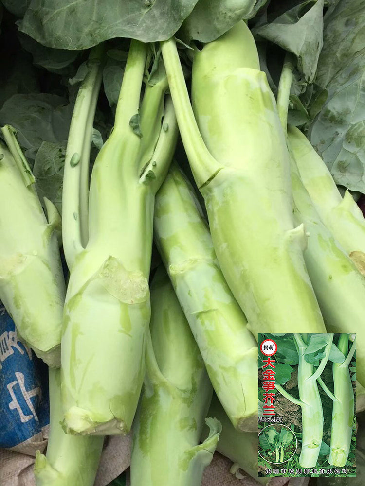 Dajinsun Chinese Kale