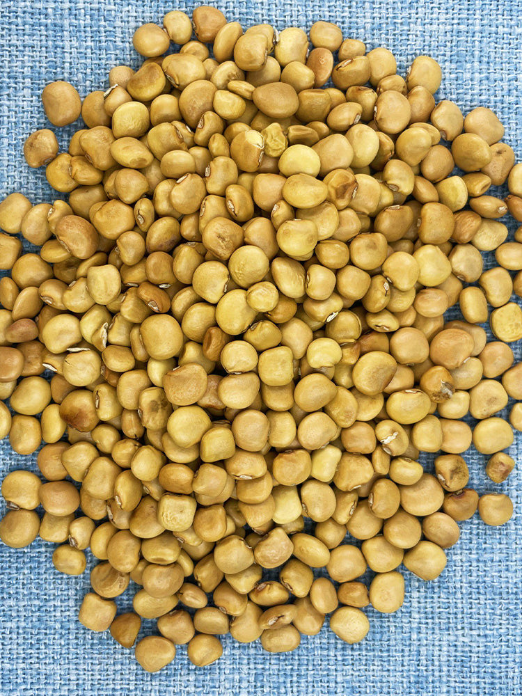 Mumashan Jicama