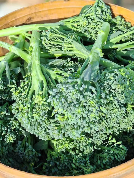Green Sprouting Broccoli No.2 Hybrid