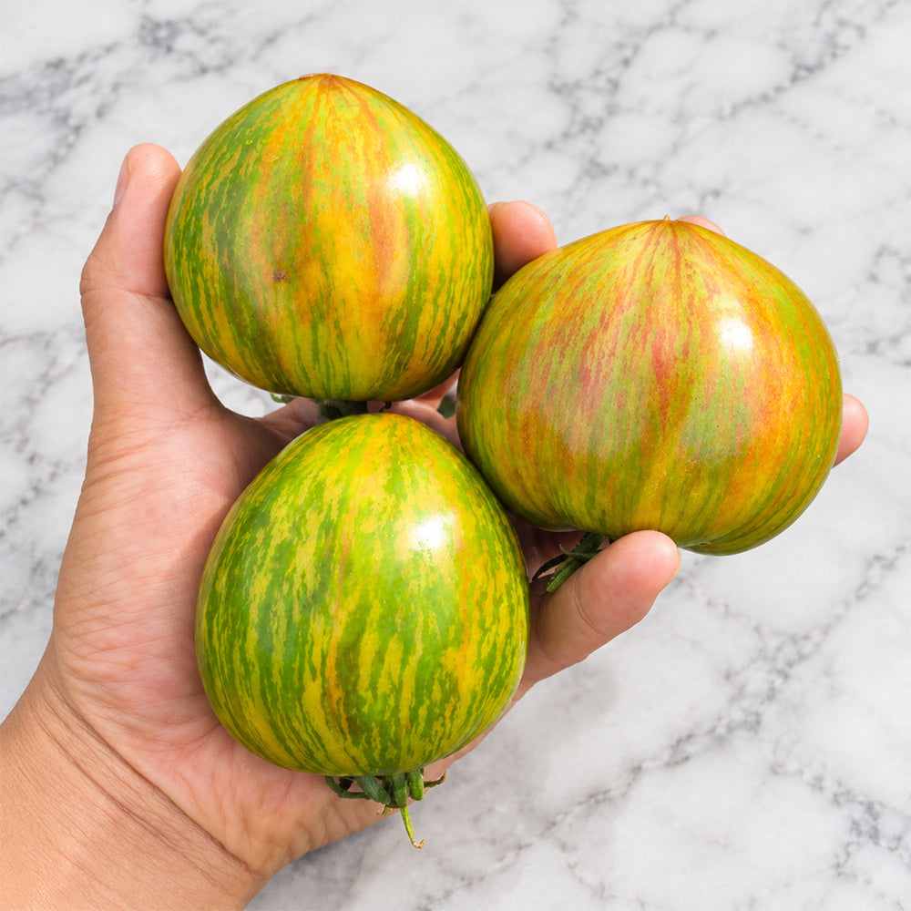 1143 Rainbow Veselka Tomato