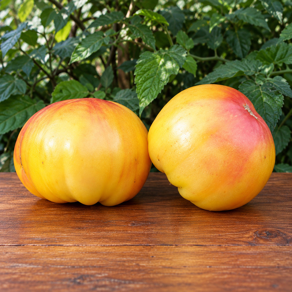 506 Pink Lemon Tomato