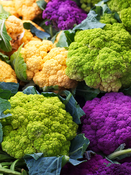 Cauliflower, Colourful Varieties