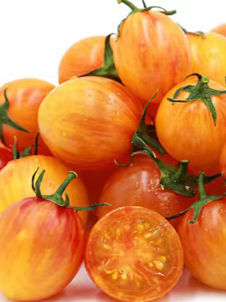 930 Sunrise Bumblebee Tomato