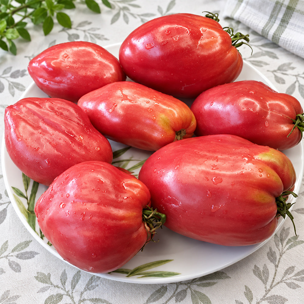 287 Mystery of the Rose Valley Tomato