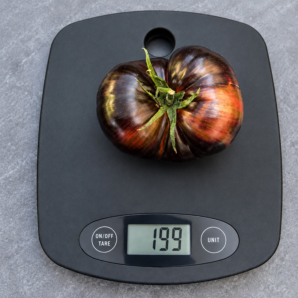 114 Marsha's Starfighter Beefsteak Tomato