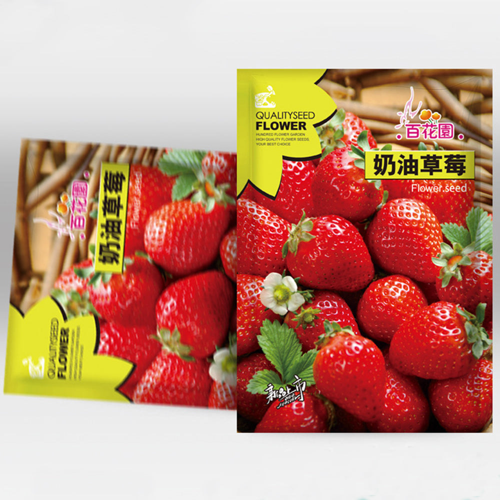 japanese strawberry seeds 5 Bags (200 Seeds / Bag) of 'Akihime' Series Red Strawberry – MUCIAKIE