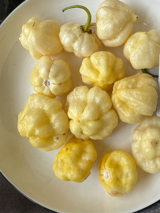 KS Lemon Starrburst Pepper