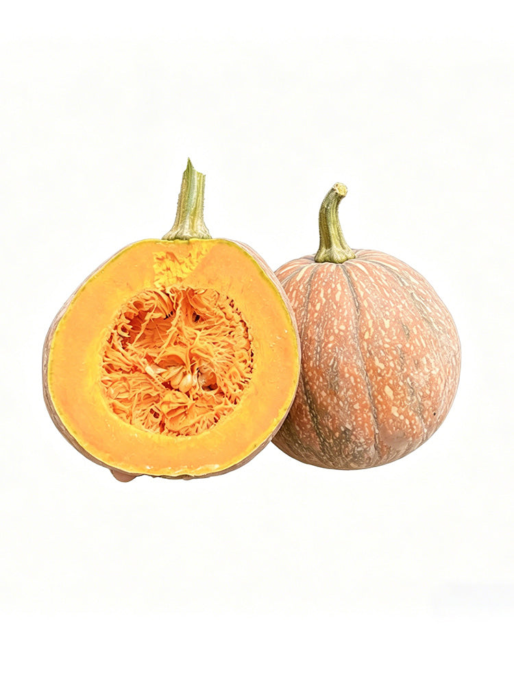 Honey Jar Pumpkin