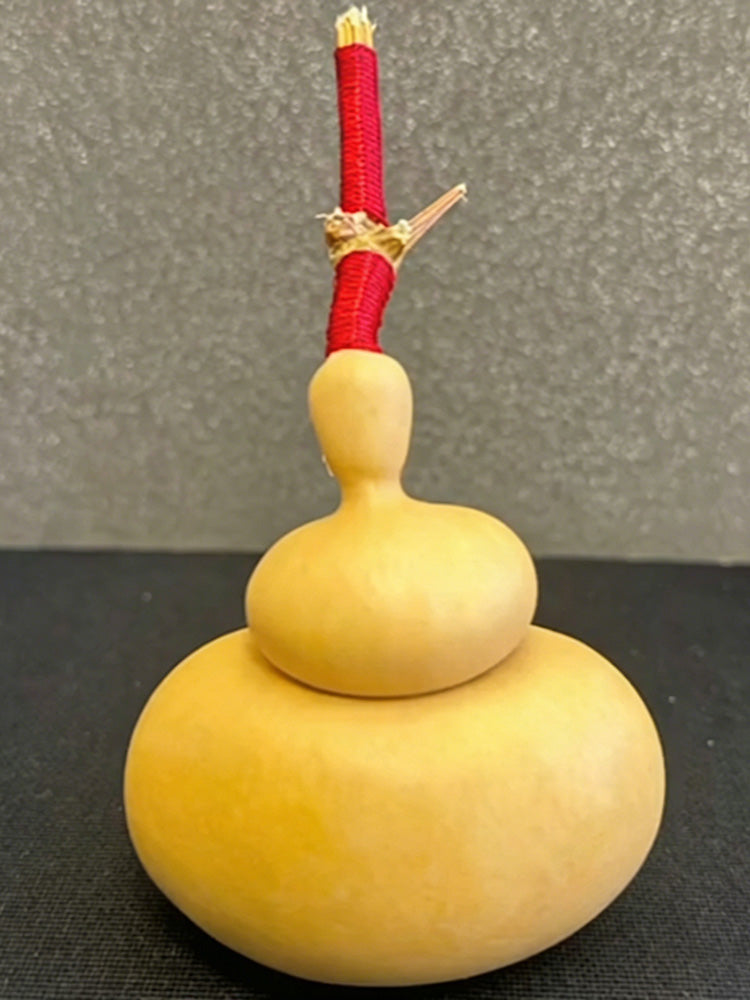 Money Bag Eight Treasures Gourd