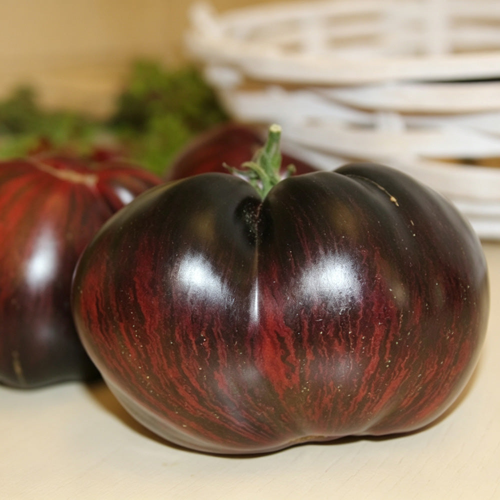 623 Marsha's Starfighter Beefsteak Tomato
