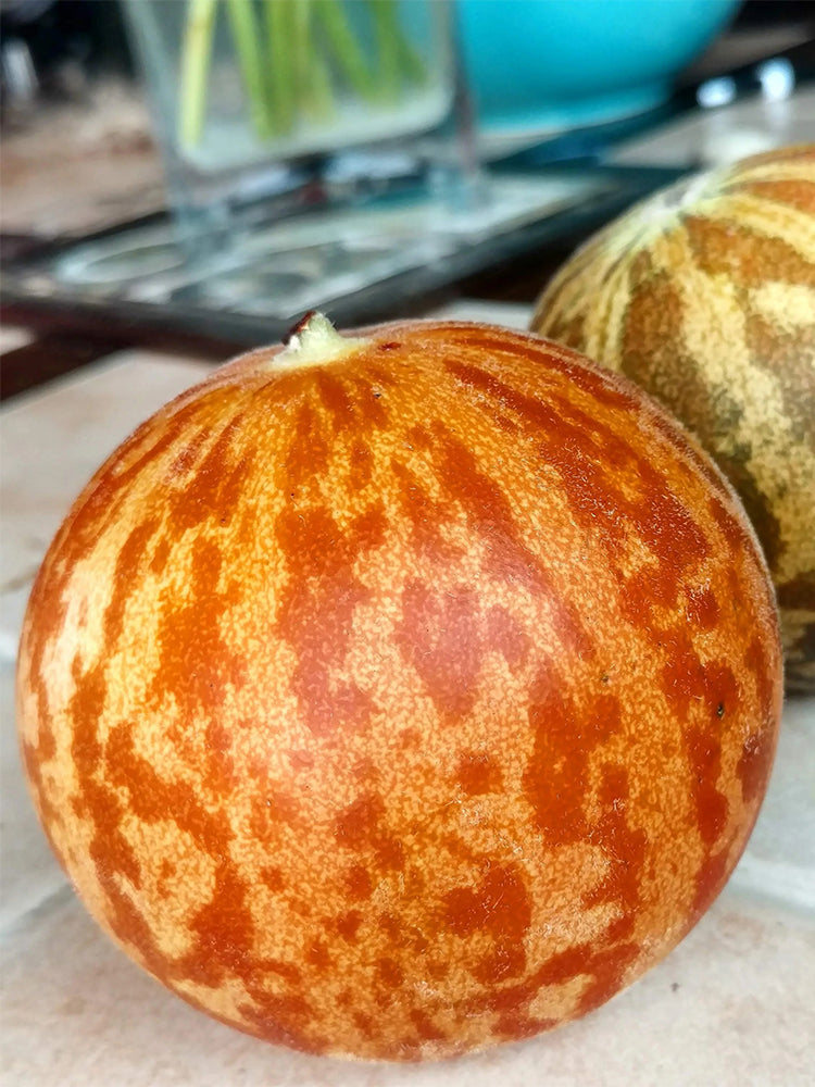 Tiger Melon