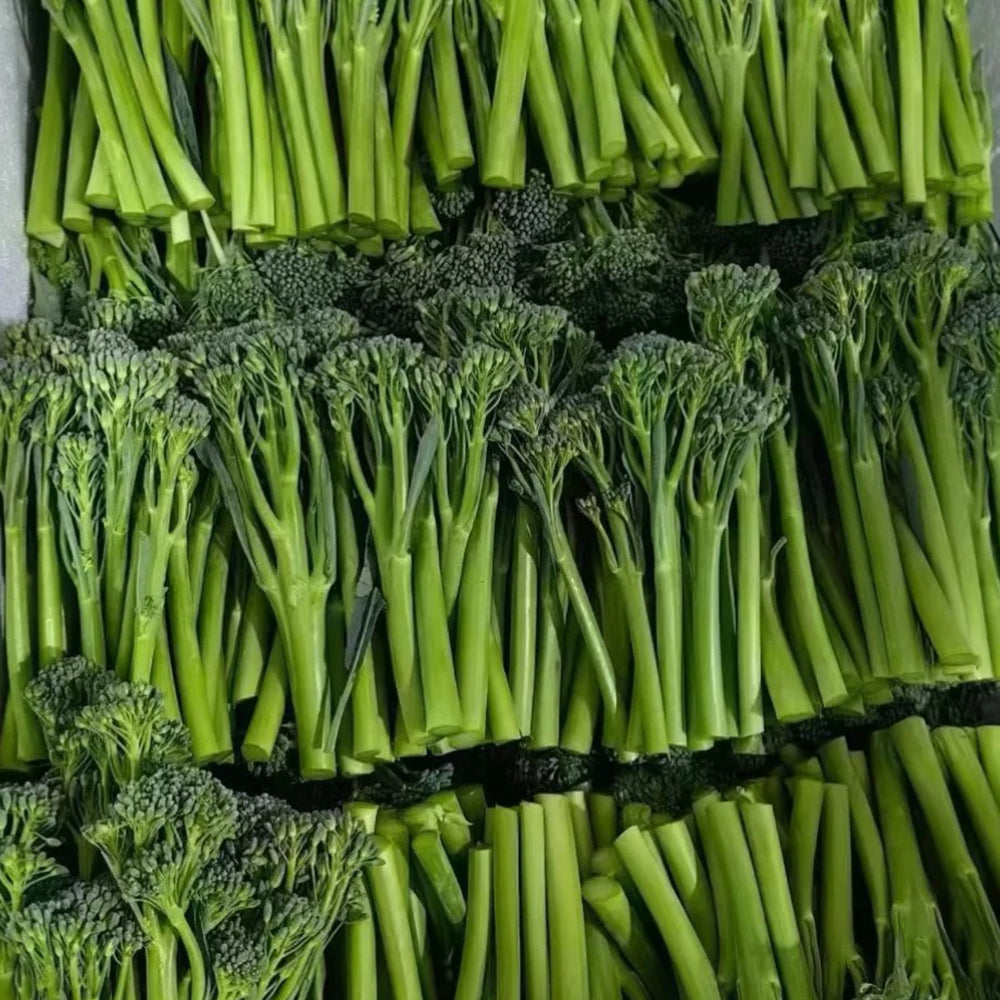 W962 Jie Mei Sprouting Broccoli