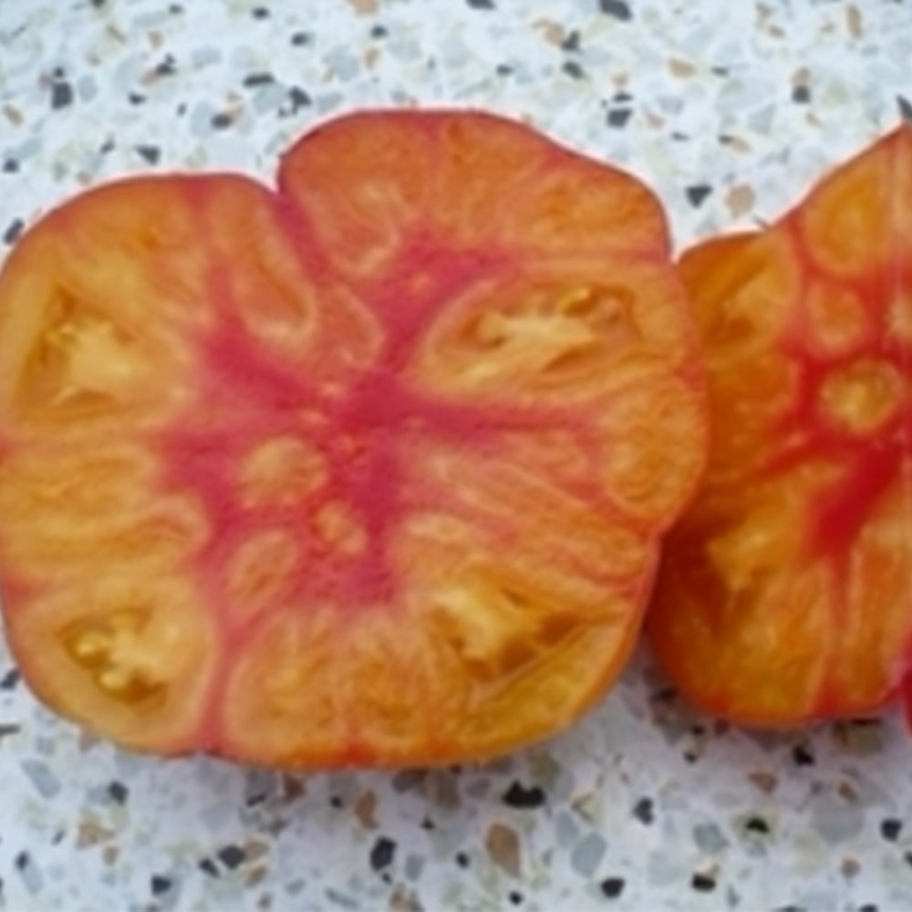 277 Tennessee Surprise Tomato