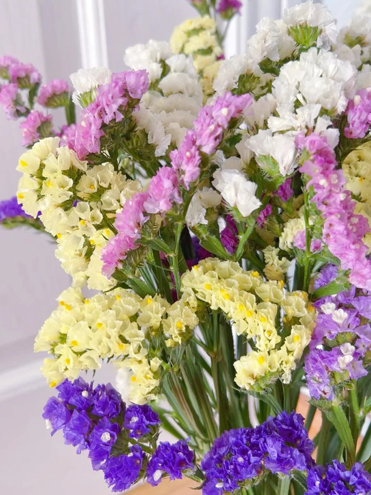 Cut Flower Forget-me-not