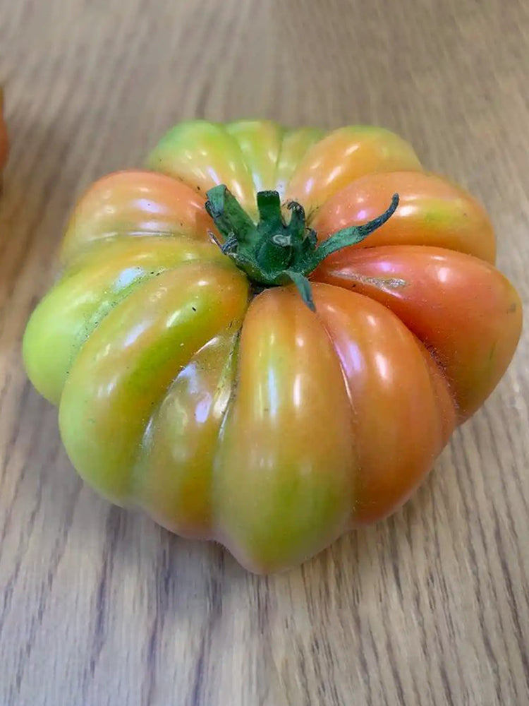 'Dongfanghong' Tomato
