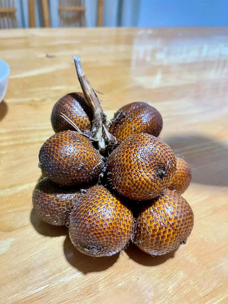 Salak Palm