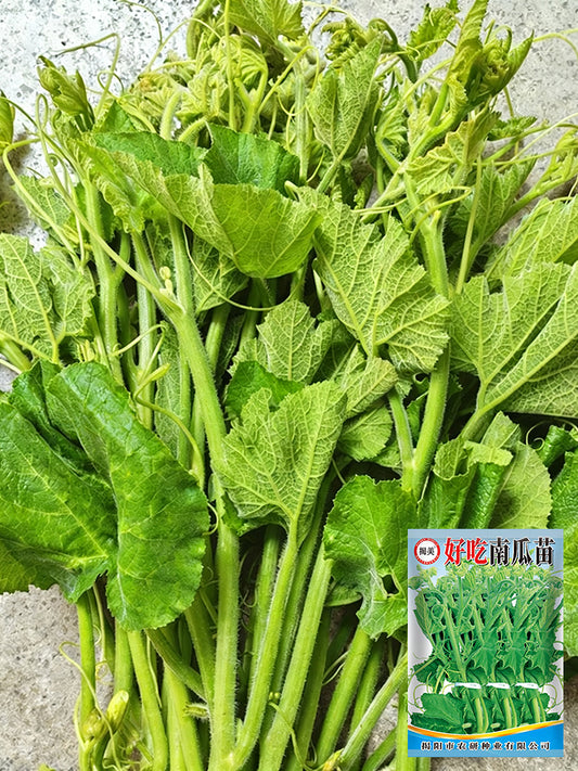 Tasty Pumpkin Shoots