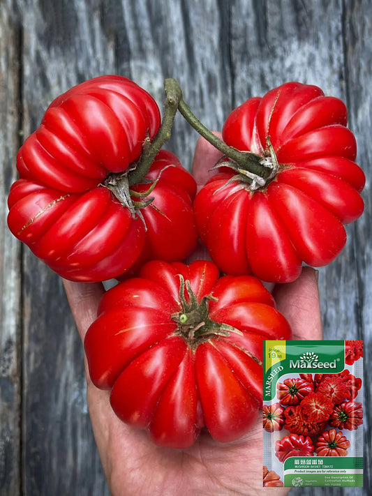 Mushroom Basket Tomato