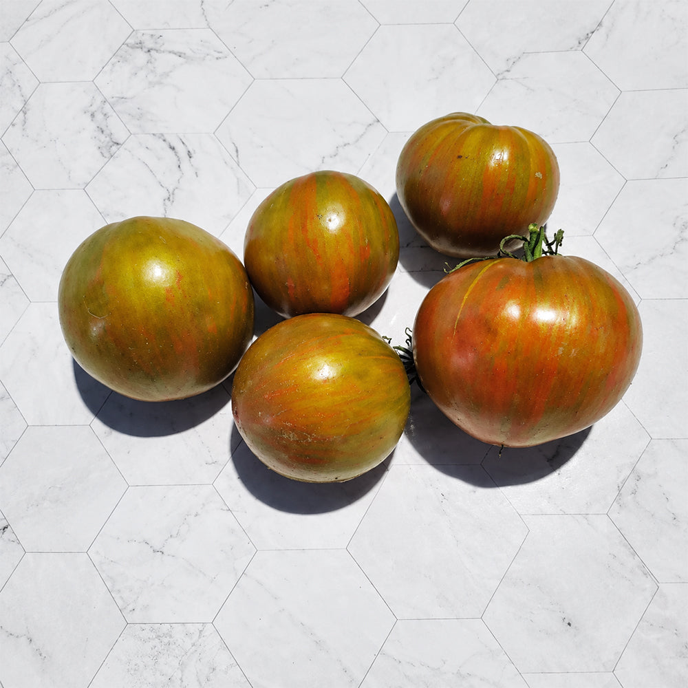 306 Aftertaste F3 Experimental Tomato
