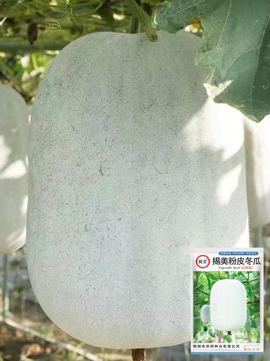 Jiemei Pink Skin Winter Melon
