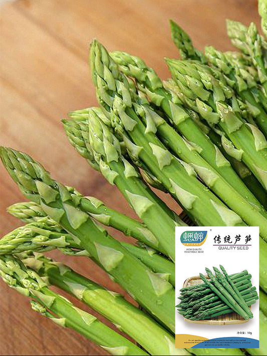 Green Asparagus (Asparagus officinalis L.)
