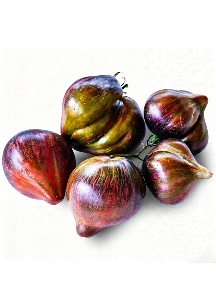 Cosmic Heart Rebel Space Warrior Tomato