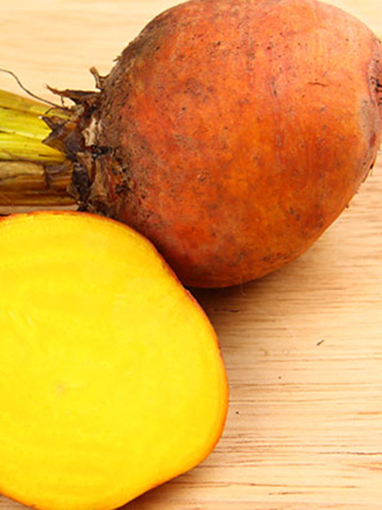 Yellow Beetroot