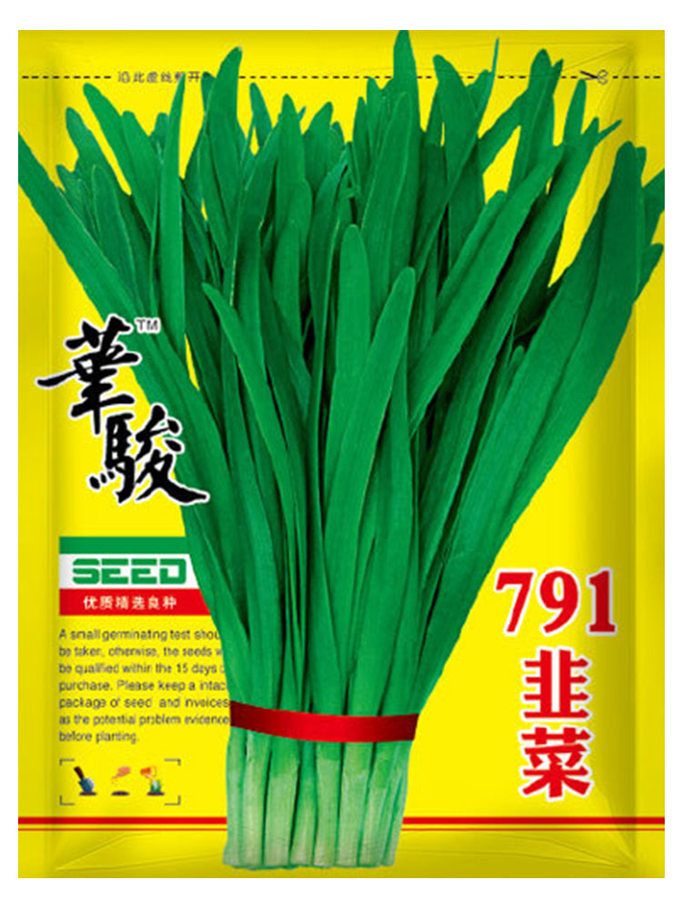 HUAJUN 791 Series Chinese Chives