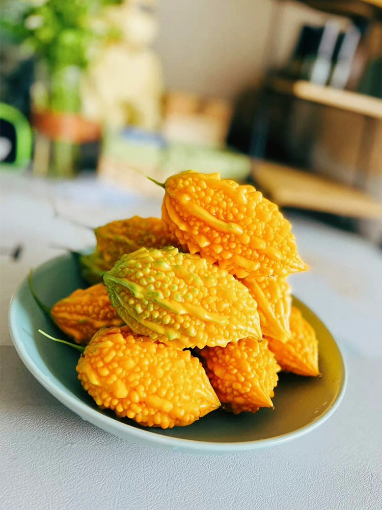 Small Spiny Bitter Melon