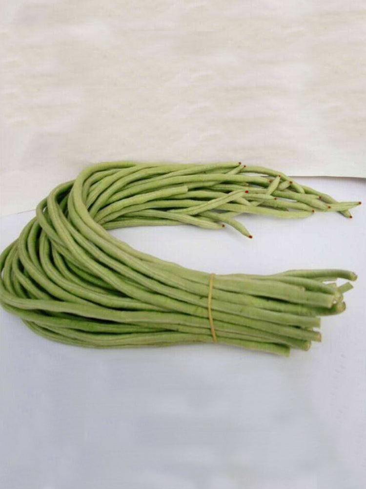 Ningjiang No.3 Yardlong Beans