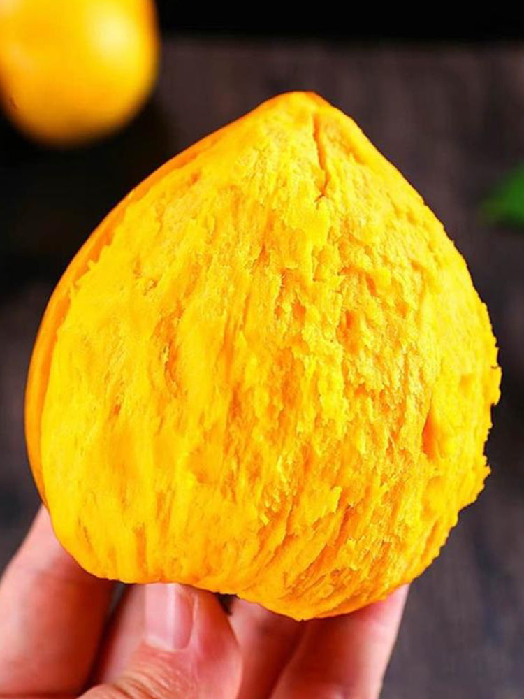 Egg Fruit Seeds, Pack of 10