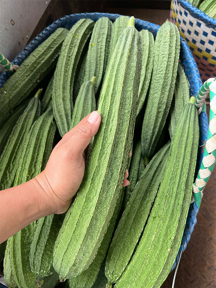 Traditional Angled Luffa