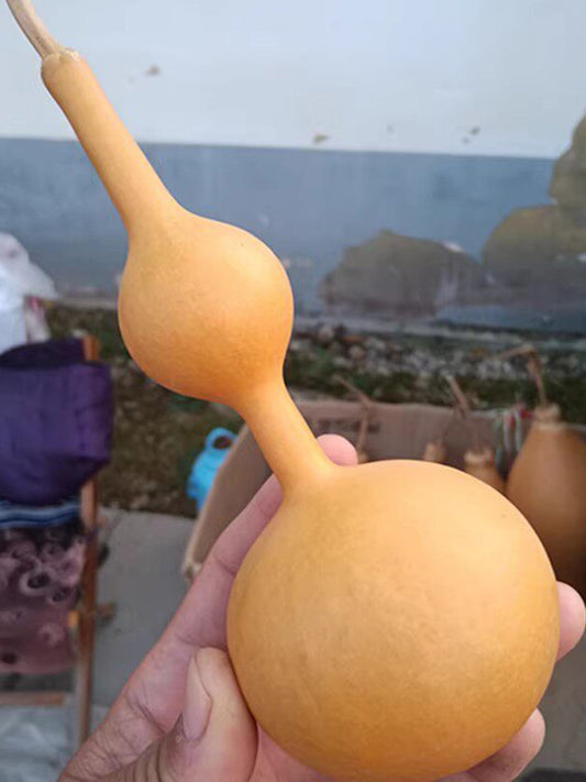 Xiaosan Ting Gourd
