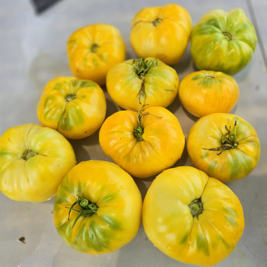 666 Eva Yellow Heart Tomato
