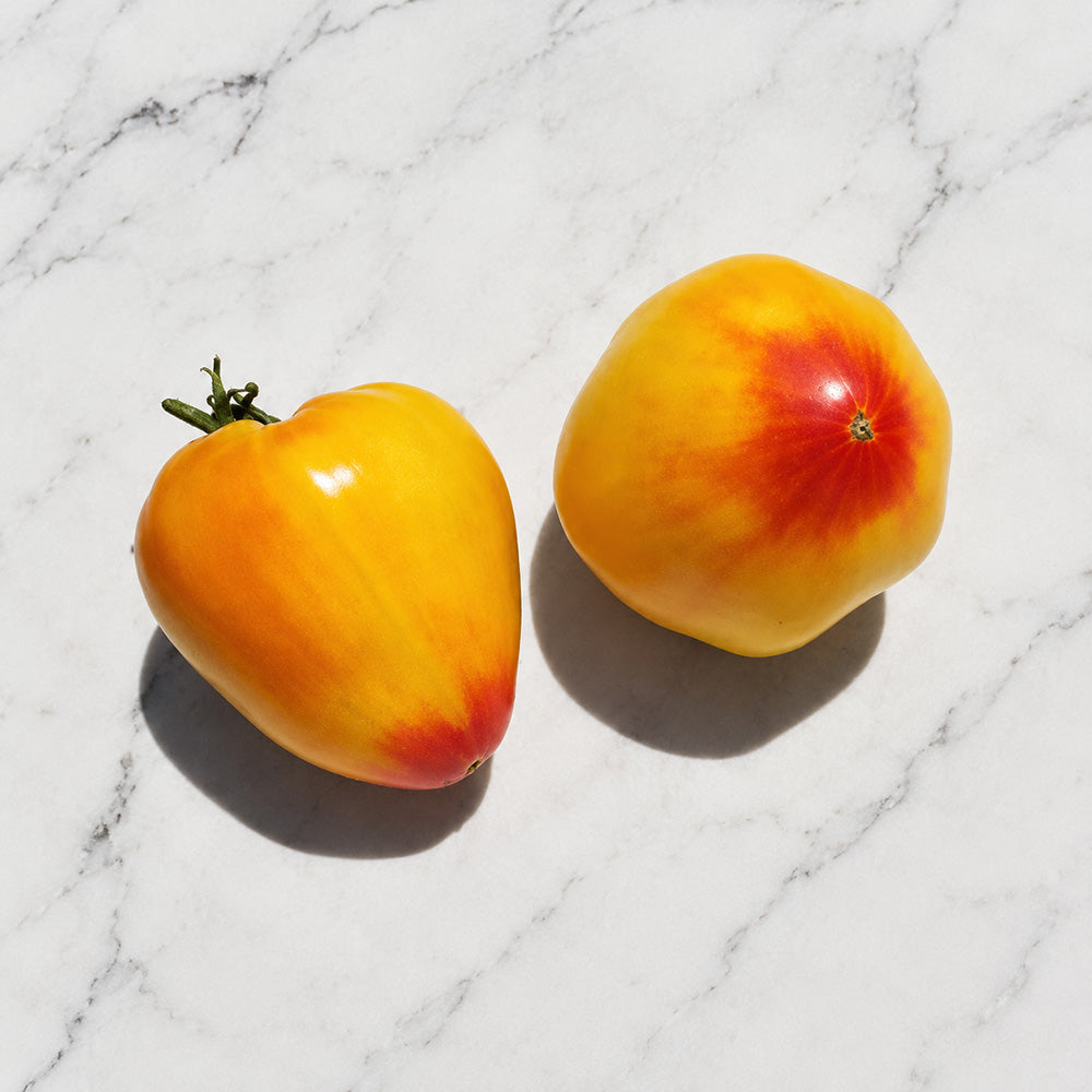 37 Grandmother's Greatness Tomato