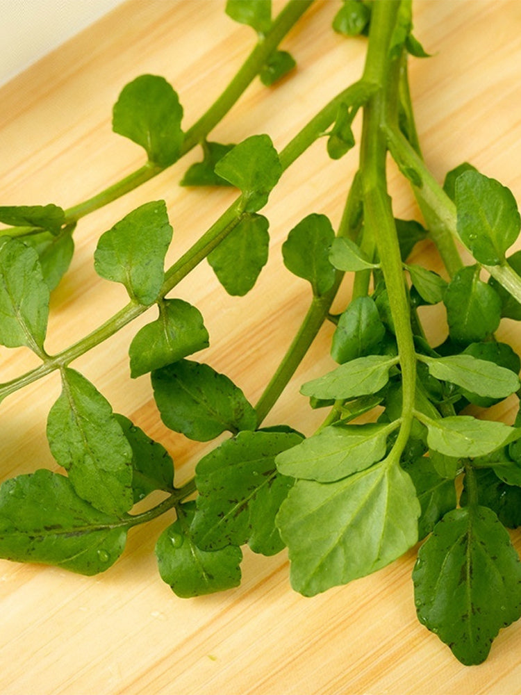 Watercress