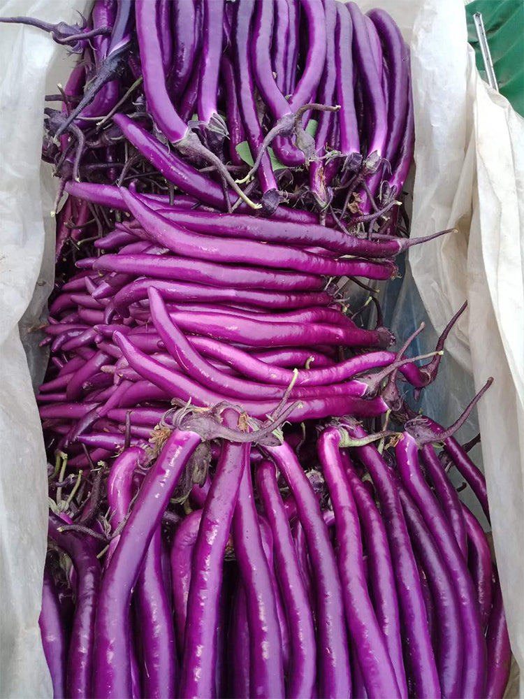 Hangzhou Red Eggplant