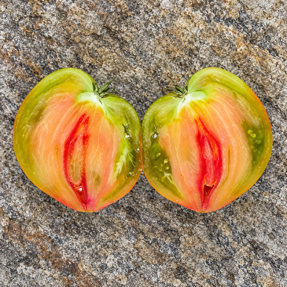 341 Taiga Tomato