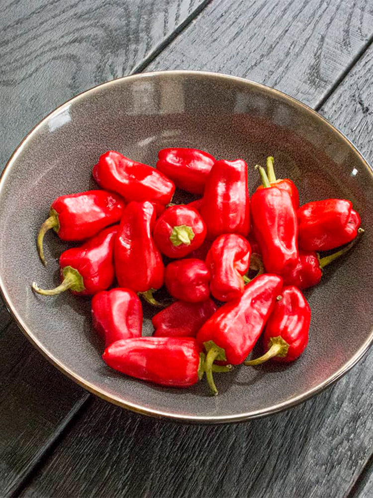 Syrian Has Goli Hot Pepper