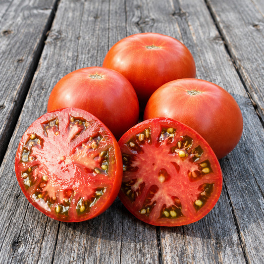 297 Perth Pride Dwarf Tomato