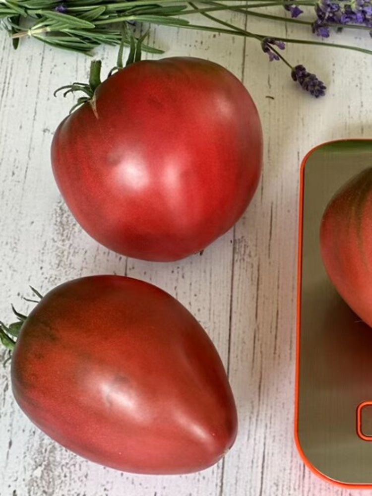 1103 Dark Brown Honey Tomato