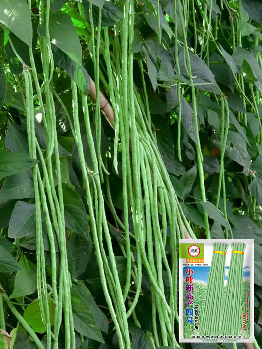 Small-Leaf High-Yield No.4 Long Bean
