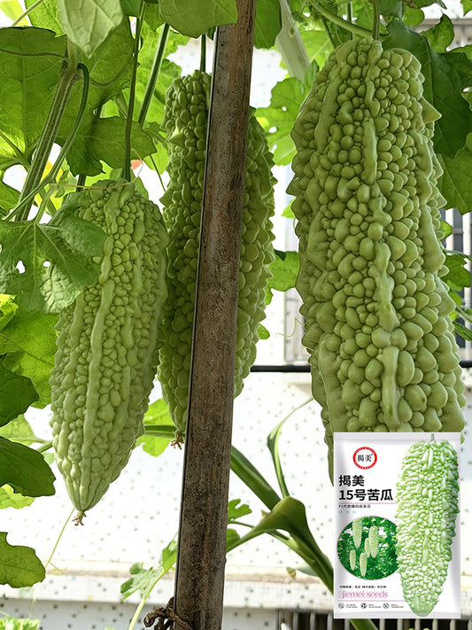 Jiemei 15 Bitter Gourd